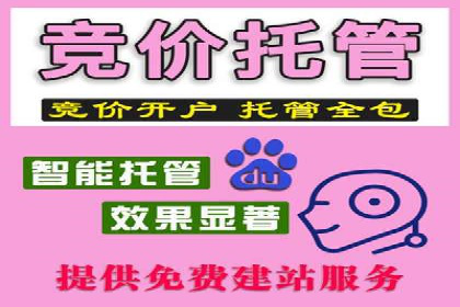 竞价推广中的数据监控与策略调整——一则成功案例